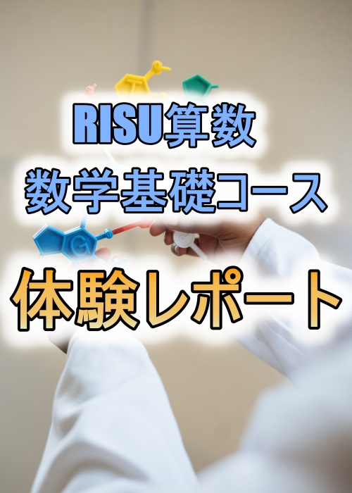 RISU算数数学基礎体験レポート
